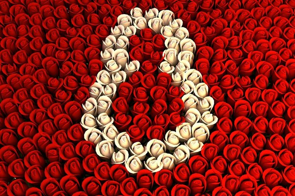 Rosas blancas sobre un fondo de rosas rojas y saludos del 8 de marzo