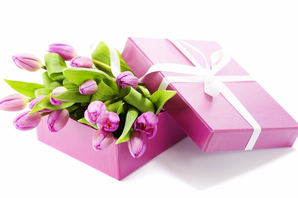 Tulipanes rosados en Caja de regalo