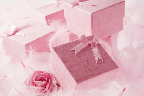 Cajas de color rosa suave para los seres queridos
