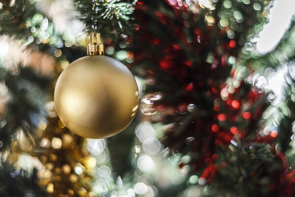 A golden ball on a branch of a fir tree