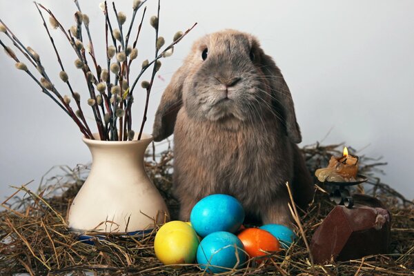 Conejito de Pascua. Sauce. Huevos. Pascua