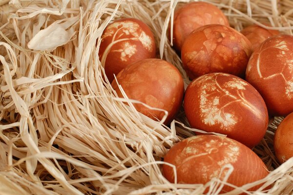 Oeufs de Pâques peints sur fond de sciure de bois