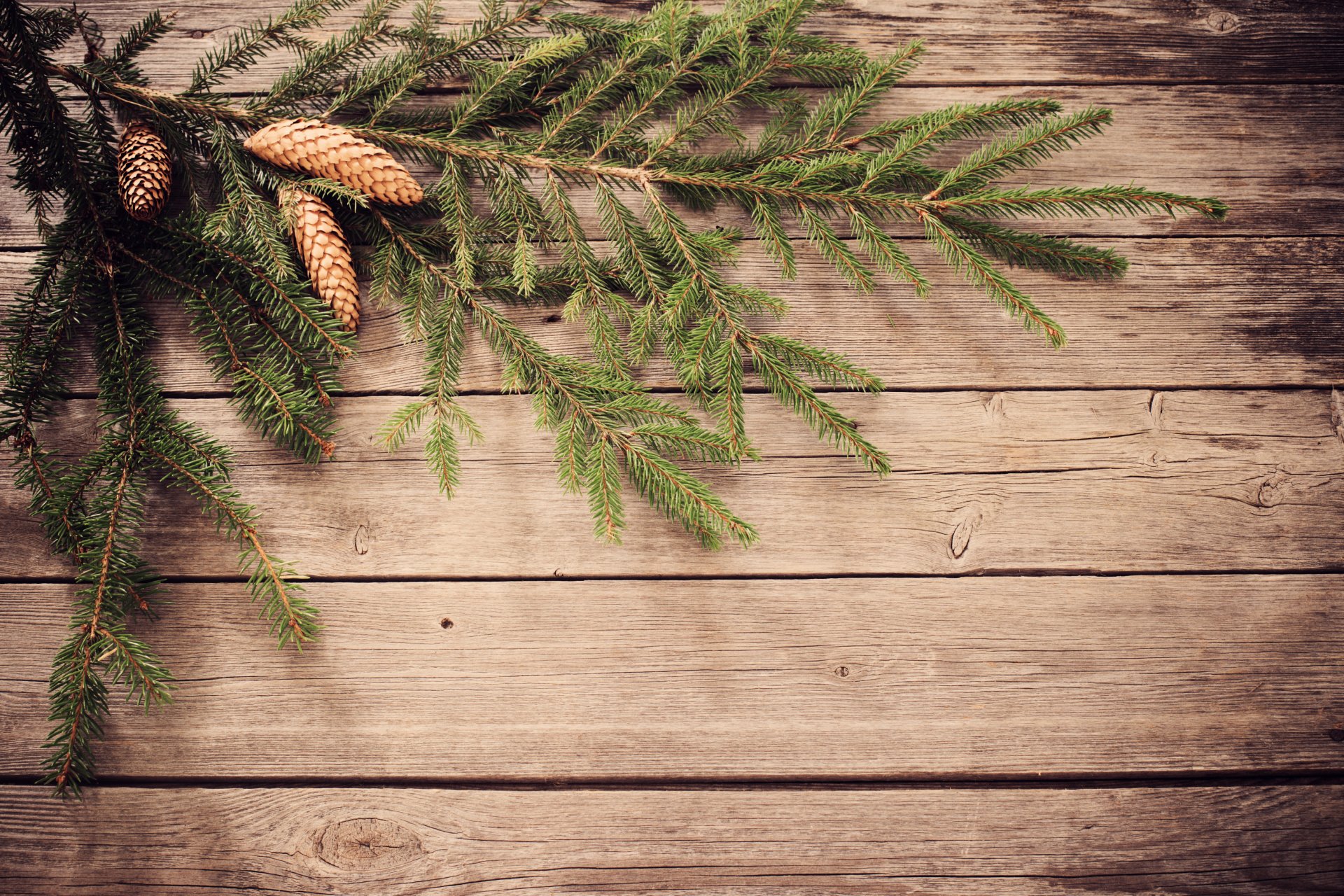 feliz navidad decoración navidad. año nuevo árbol de navidad conos ramita