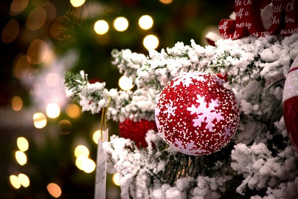 Boule scintillante rouge avec des flocons de neige sur une branche d épinette enneigée