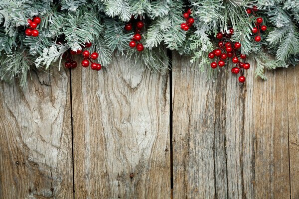 New Year s mood with berries and spruce