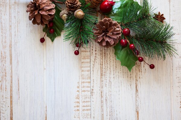 A branch of a fir tree with cones on the background of a white wall