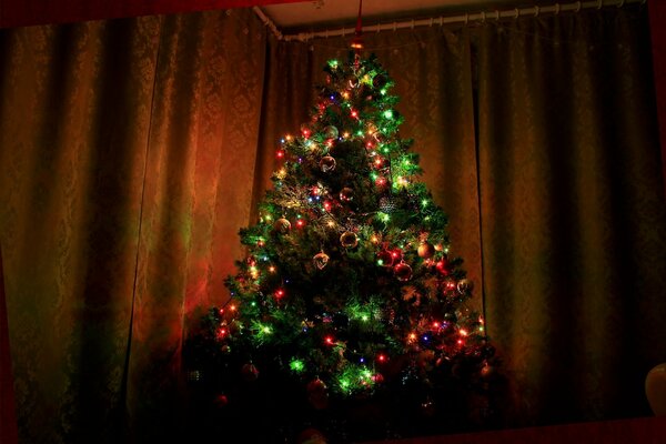 Рождественская елка в новогоднюю ночь