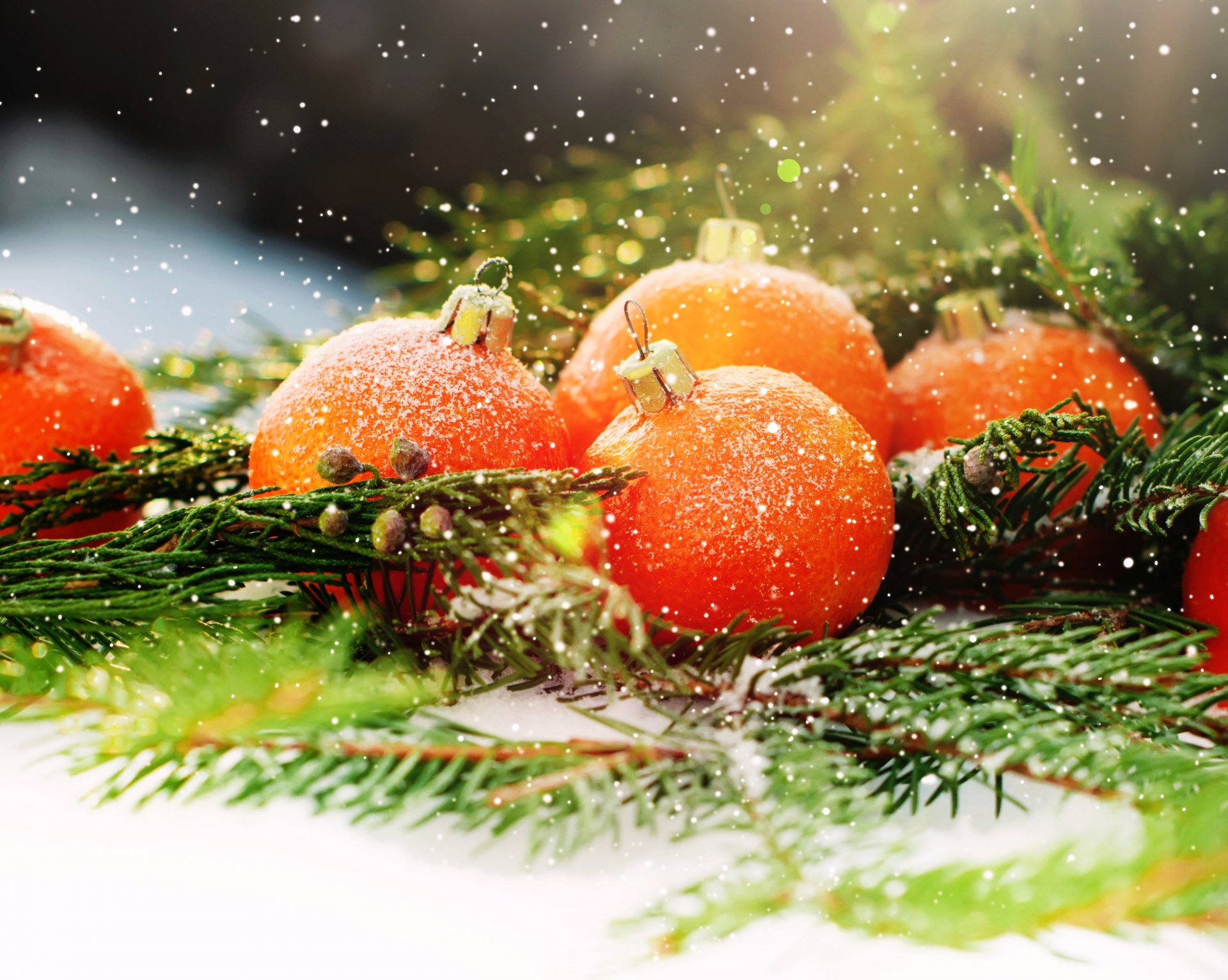 merry christmas decoration new year christmas tree orange fruits snow