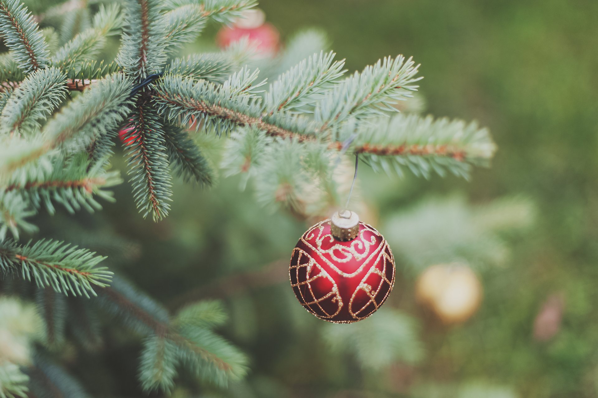 neujahr weihnachtsbaum baum zweig nadeln ball spielzeug dekoration