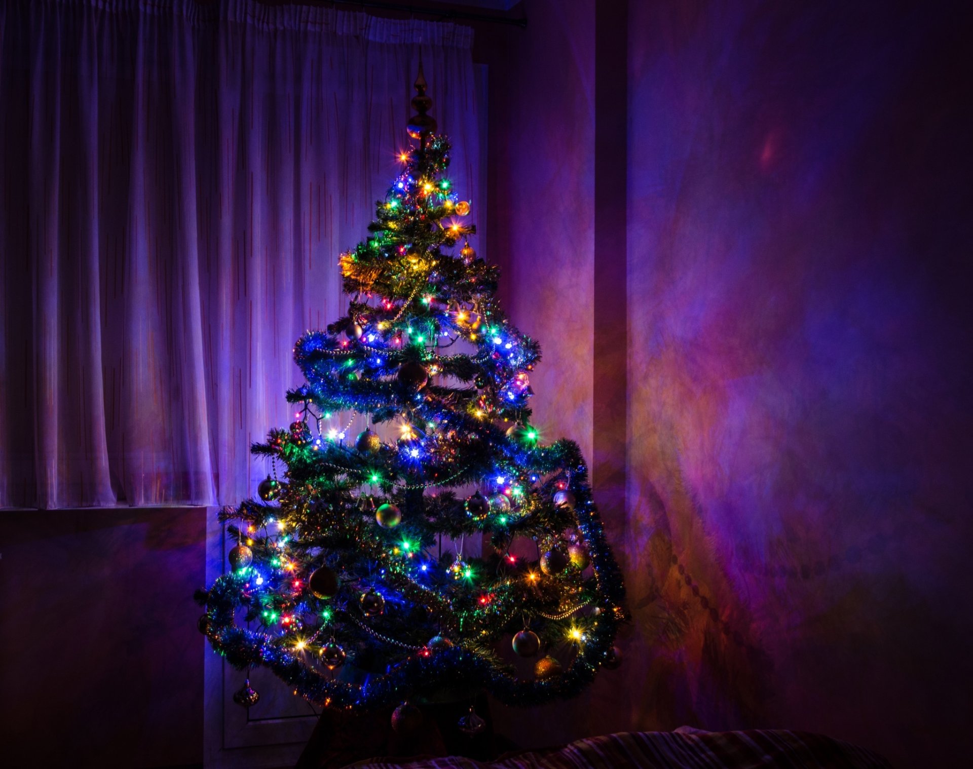 happy new year merry christmas christmas tree 2015 new year spruce hd