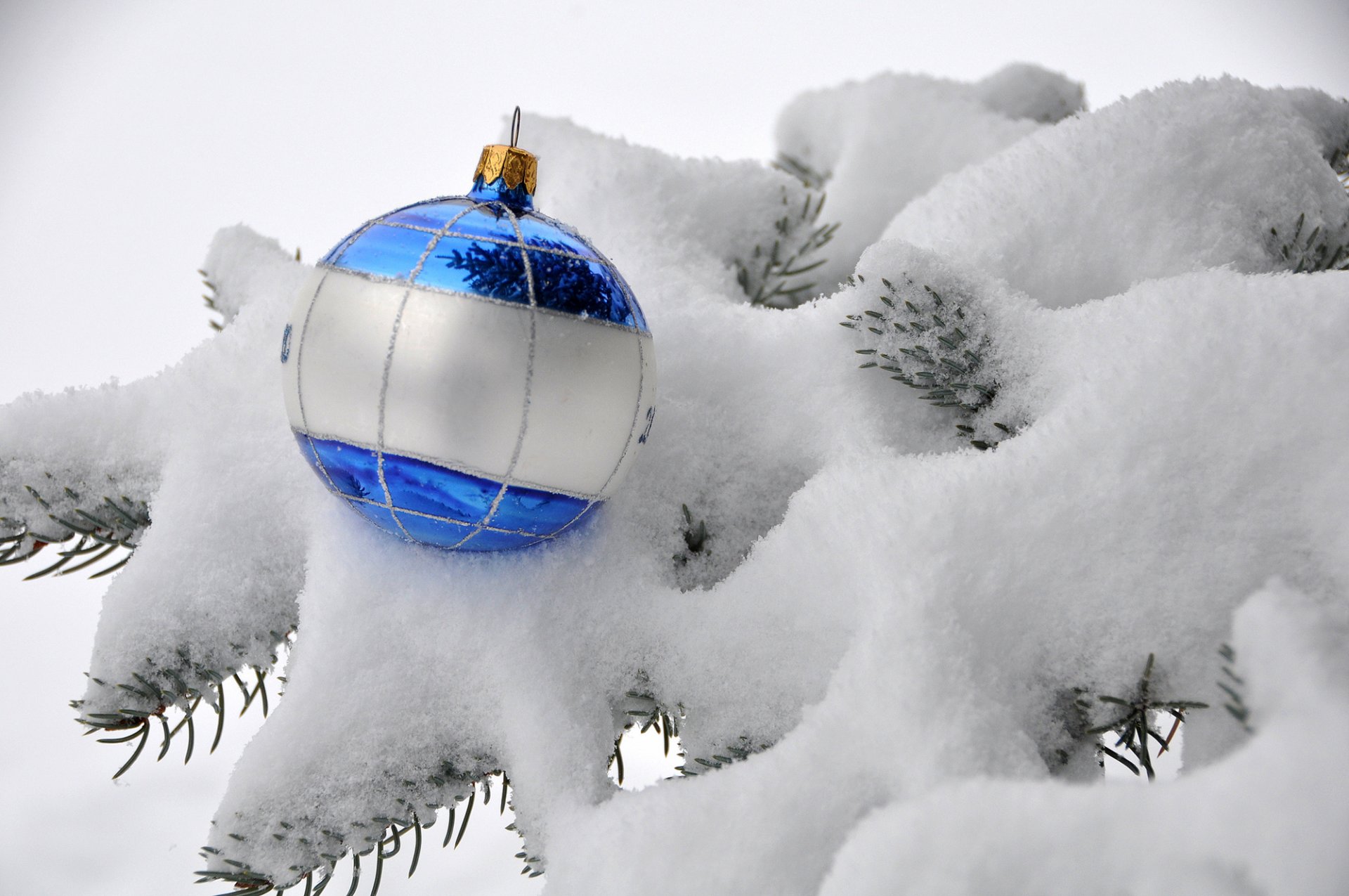 ball ball blau weiß zweige schnee tanne spielzeug weihnachtsbaum winter natur feiertage neujahr weihnachten