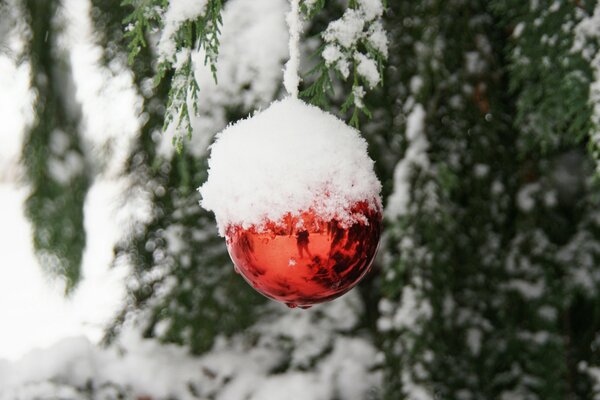 Reflejo en la bola y nieve en la parte superior
