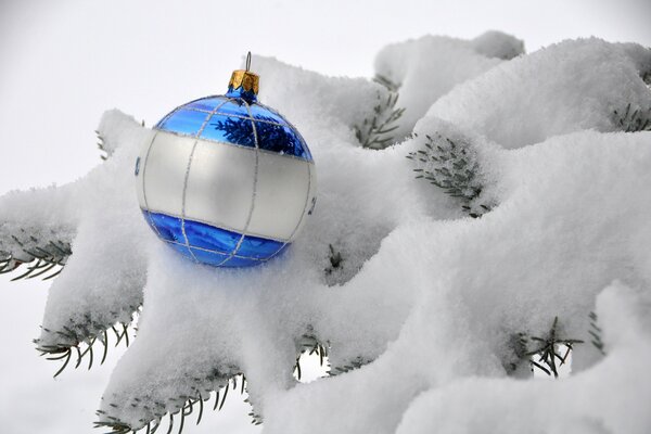 Bola blanca y azul en una rama de árbol de Navidad en la nieve