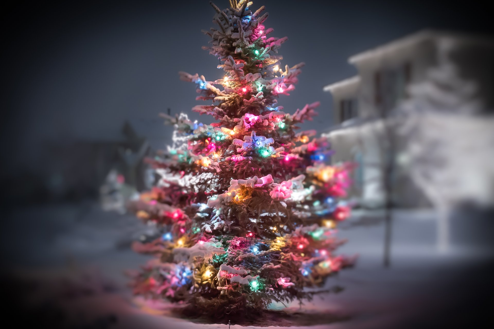 schnee winter weihnachtsbaum lichter girlande neujahr