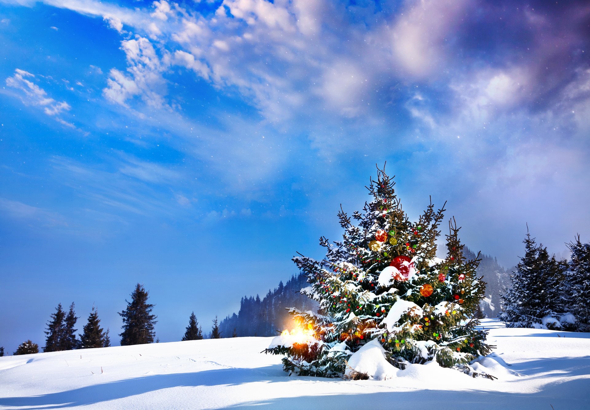 christmas tree winter landscape snow winter christmas tree new year