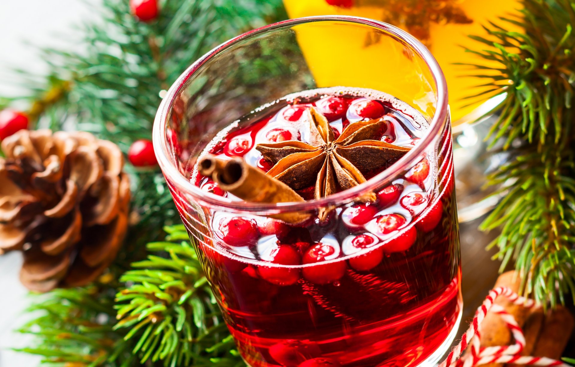 vin chaud boisson vin baies épices bâtons cannelle badiane anis branches épinette cônes vacances hiver nouvel an noël