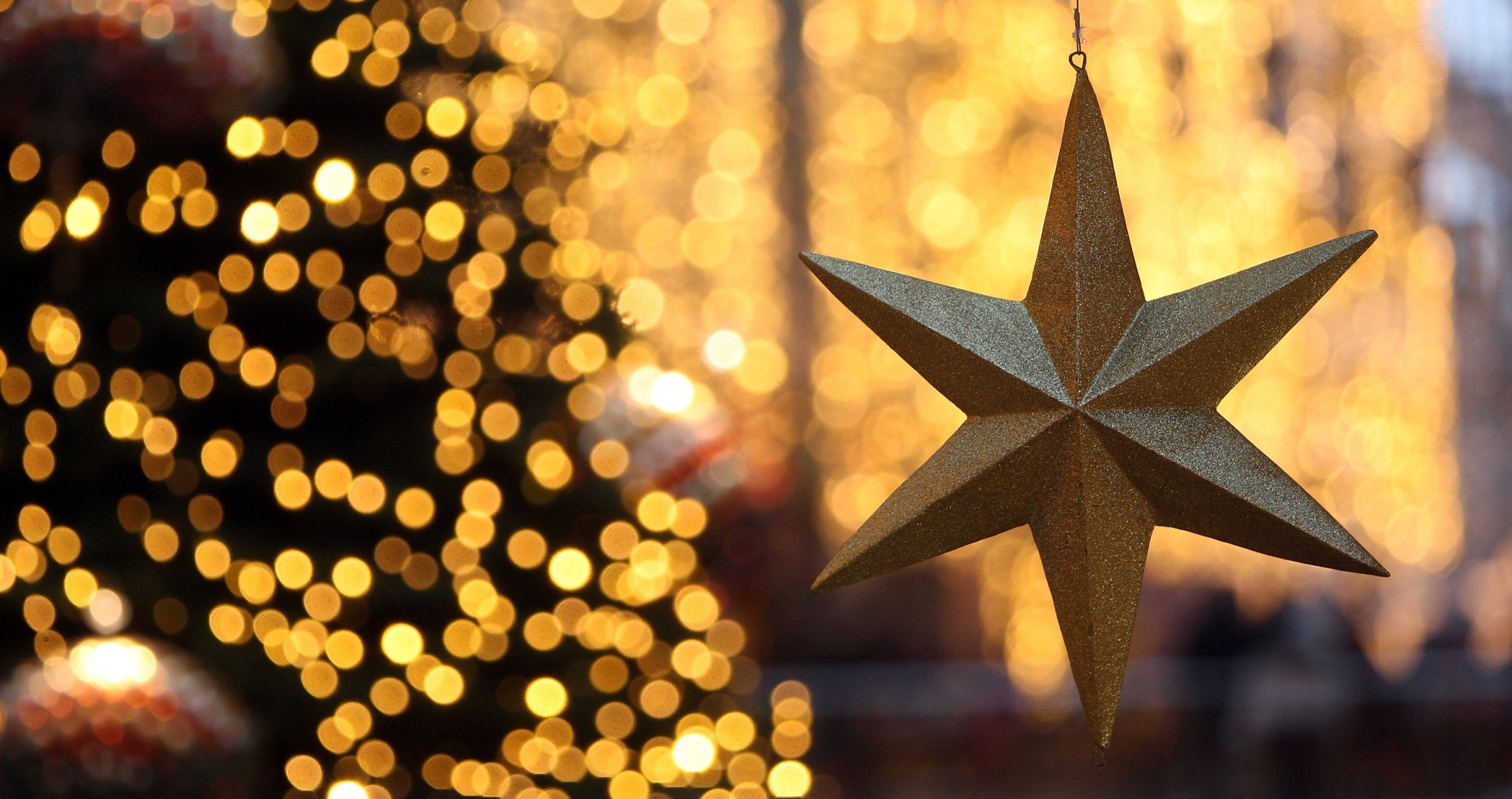 weihnachtsstern neujahr weihnachtsbaum dekoration lichter licht