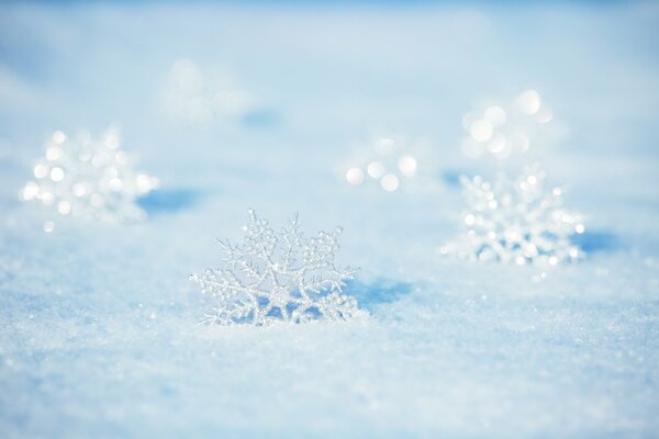 Delicate snowflakes in blue snow