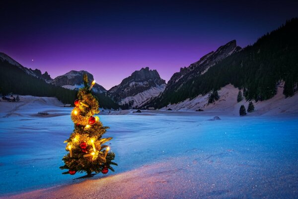 Weihnachtsbaum mit Silvester Gerland im Hintergrund der Berge im Schnee
