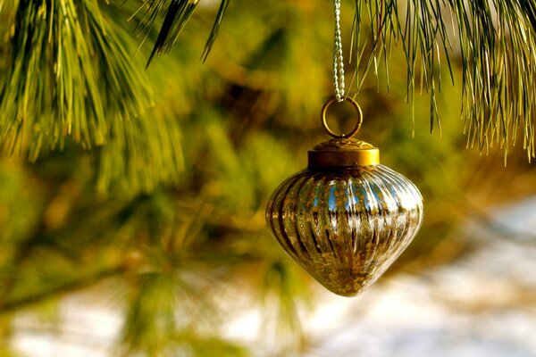 Jouet de Noël sur une branche de pin