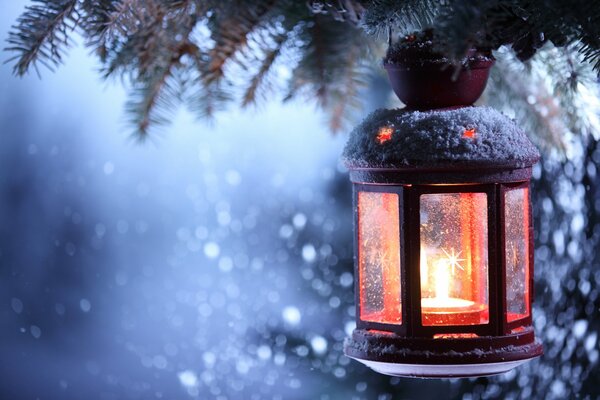 Festive lantern with a candle, on the winter Christmas tree