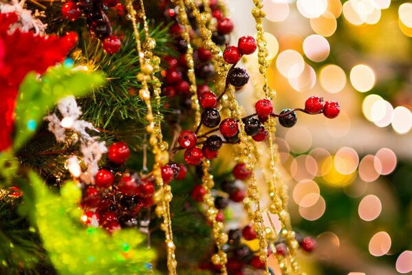 Branche de décoration rouge parmi les branches de sapin