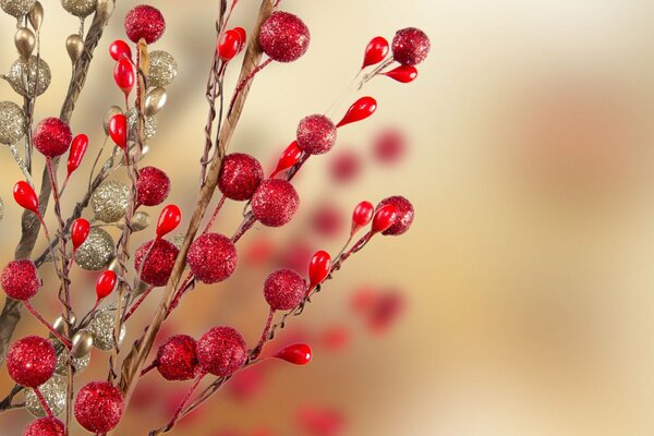 Rote und silberne Zweige zum Dekorieren