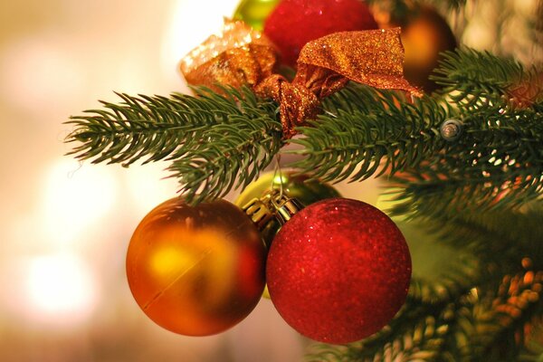 Boules colorées de Noël sur une branche de sapin de Noël