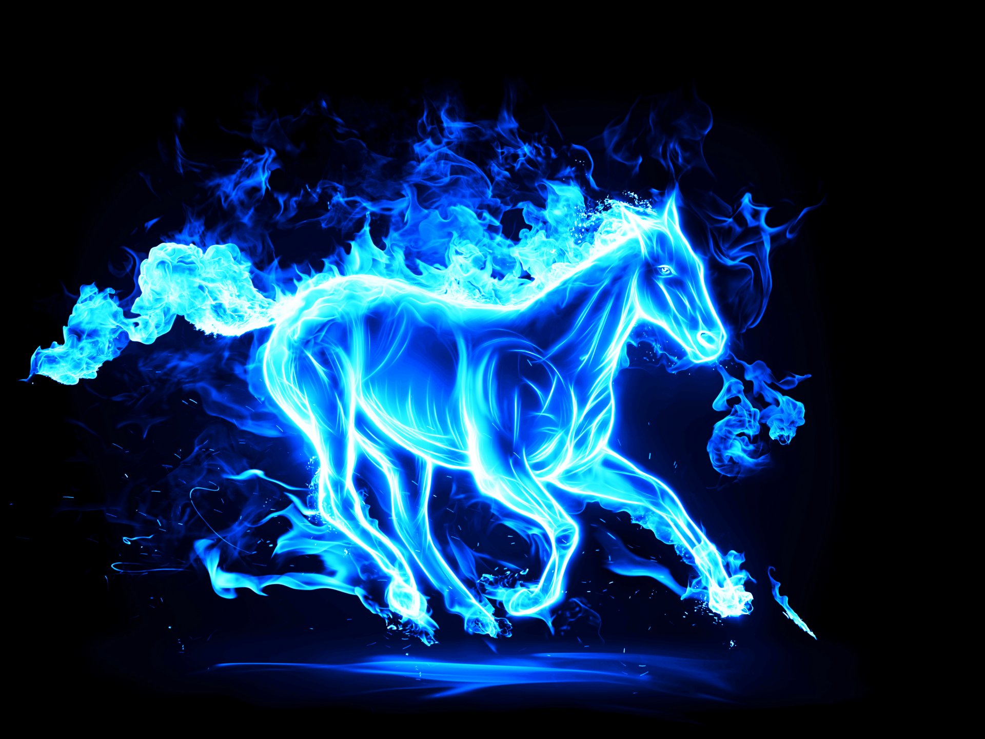 2014 new year horse horse happy new year symbol 2014 blue ultramarine blue horse