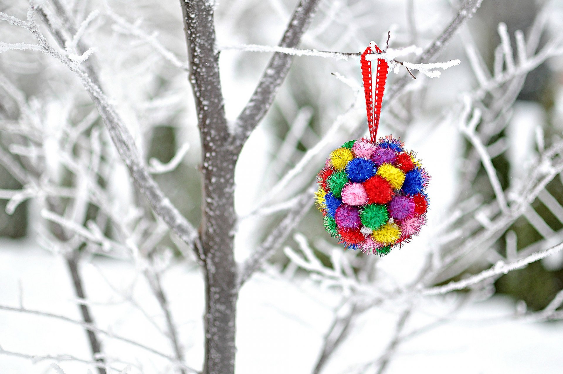 giocattolo decorazione rami albero neve inverno vacanze nuovo anno natale