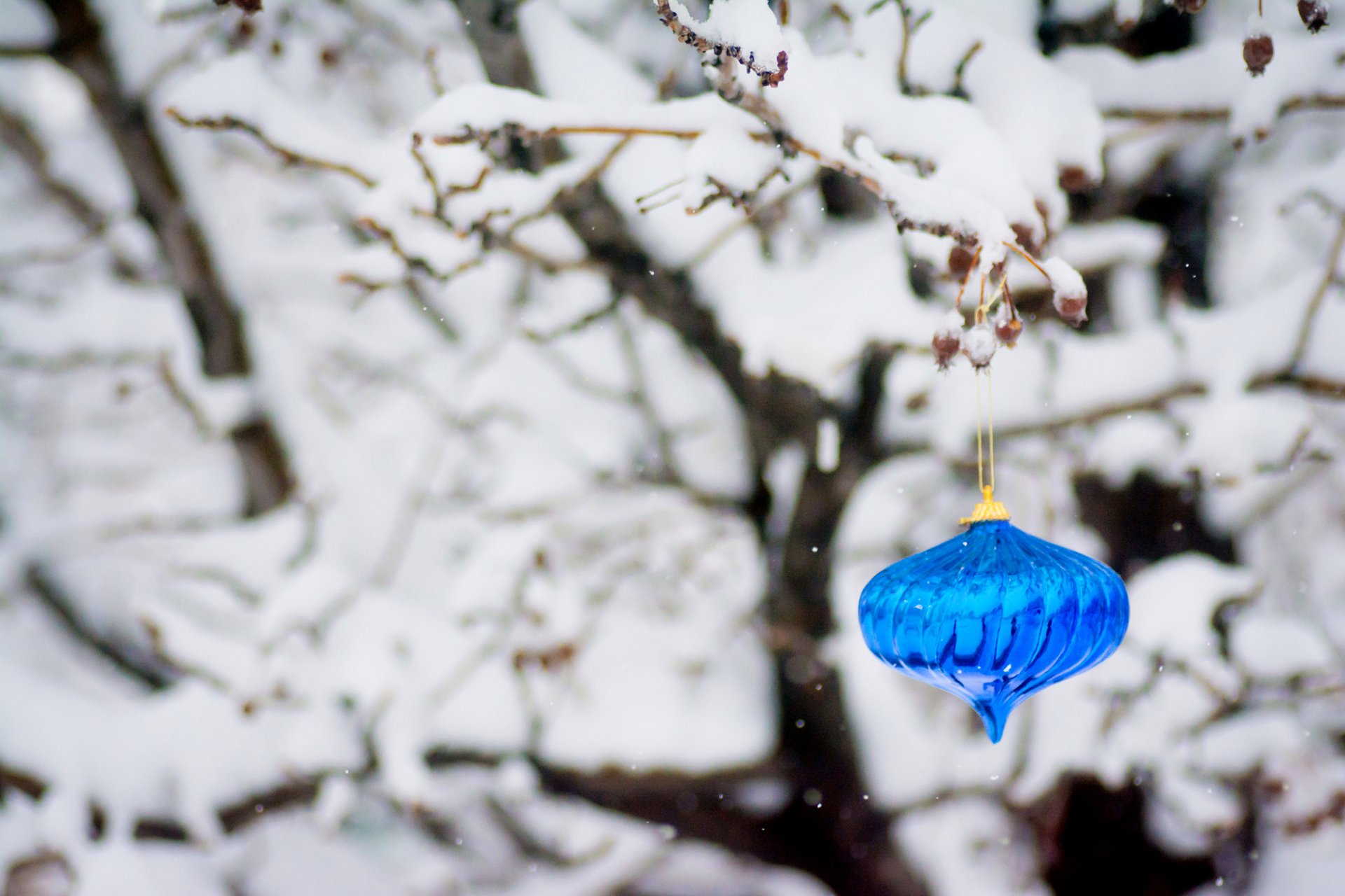 spielzeug weihnachtsbaum blau neujahrstag zweige baum schnee neujahr weihnachten feiertage winter