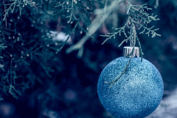 Boule de Noël bleu sur l arbre de Noël