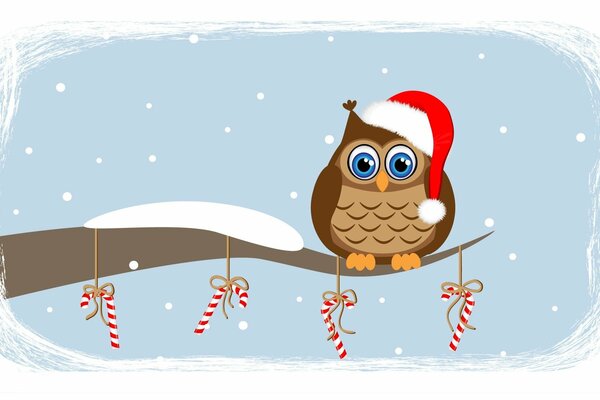 Hibou dans un chapeau de Noël sur une branche