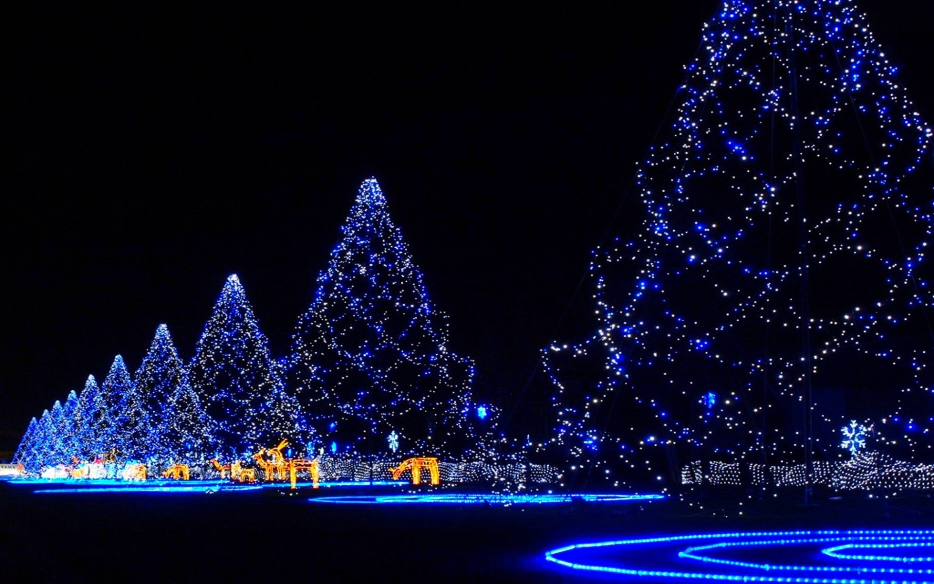 nouvel an vacances sapin guirlande ruelle nuit