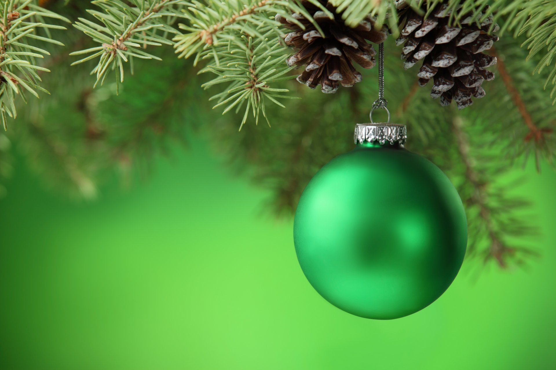 bola bola verde conos rama árbol de navidad abeto juguetes árbol de navidad año nuevo navidad