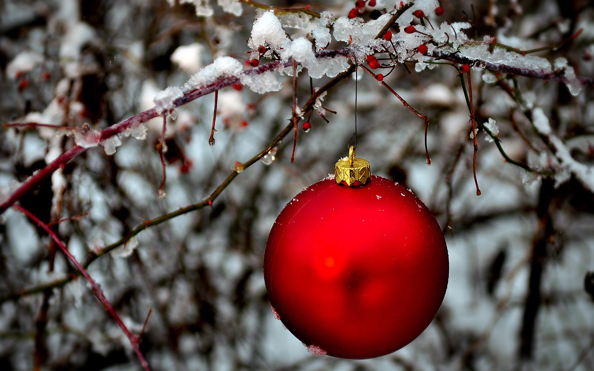 boule rouge boule arbre de noël jouet branche glace hiver nouvel an