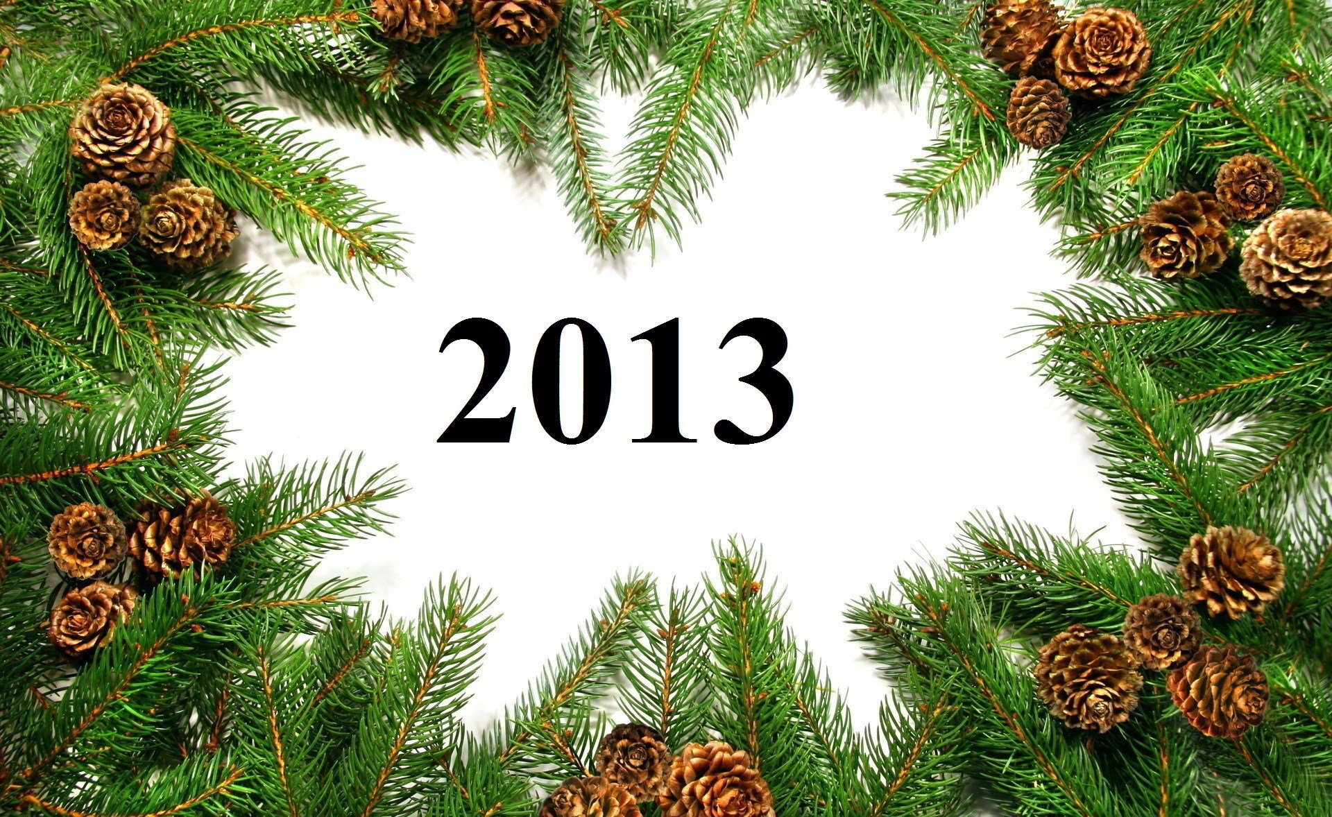 bonne année nouveau 2013 année branches cônes