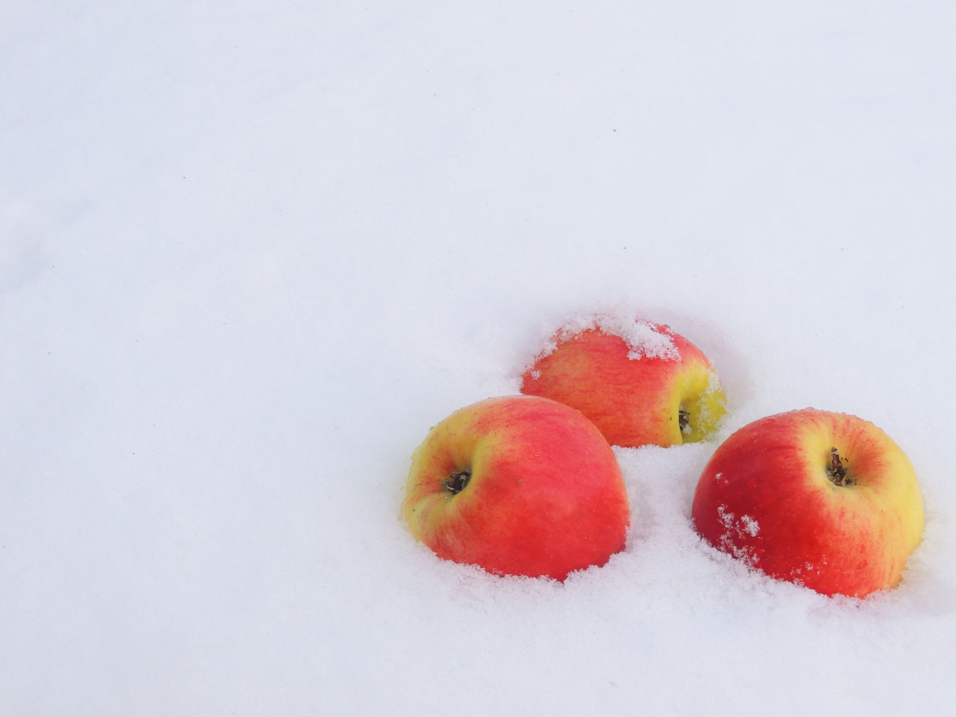 invierno nieve manzanas heladas