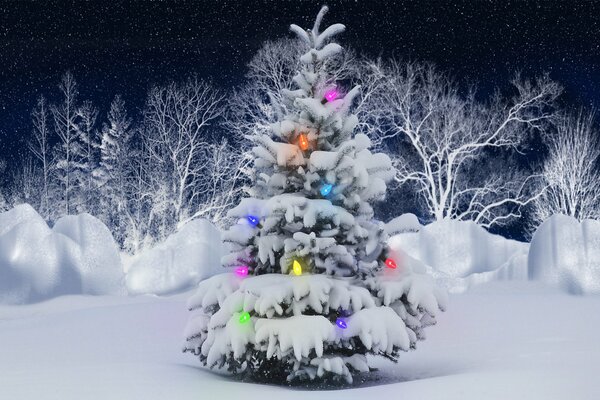 Árbol de Navidad en el bosque de invierno