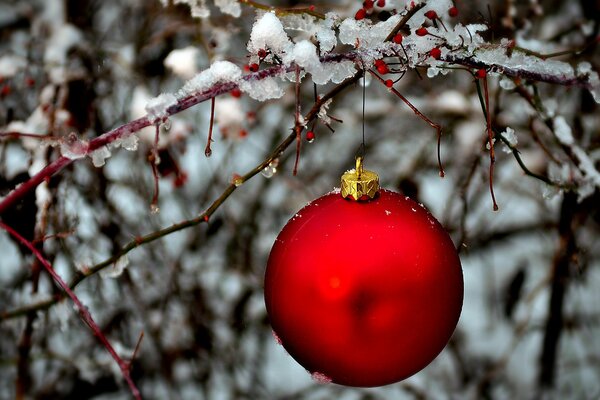 Palla rossa su un ramo di ghiaccio