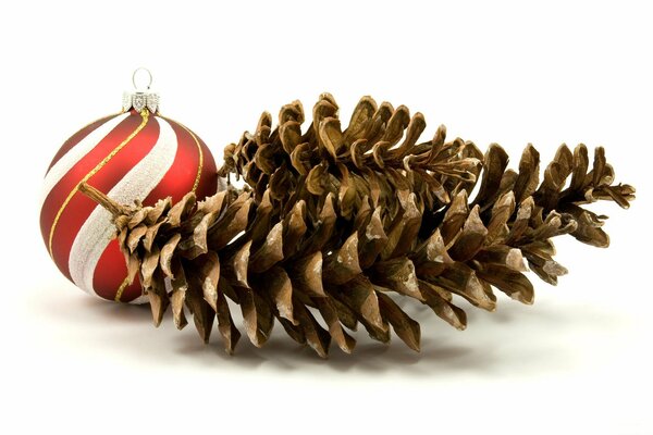 Fir cones with a Christmas ball