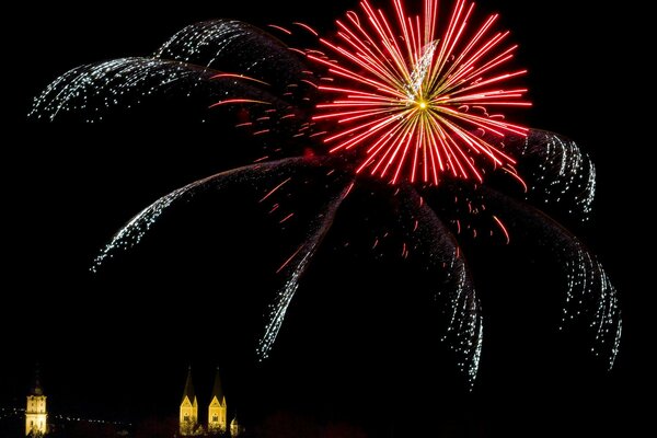 A bright salute in view of the opened flower on the background of the night sky