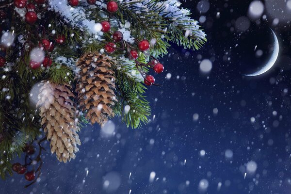 Fir cones on a festive Christmas tree with snowflakes