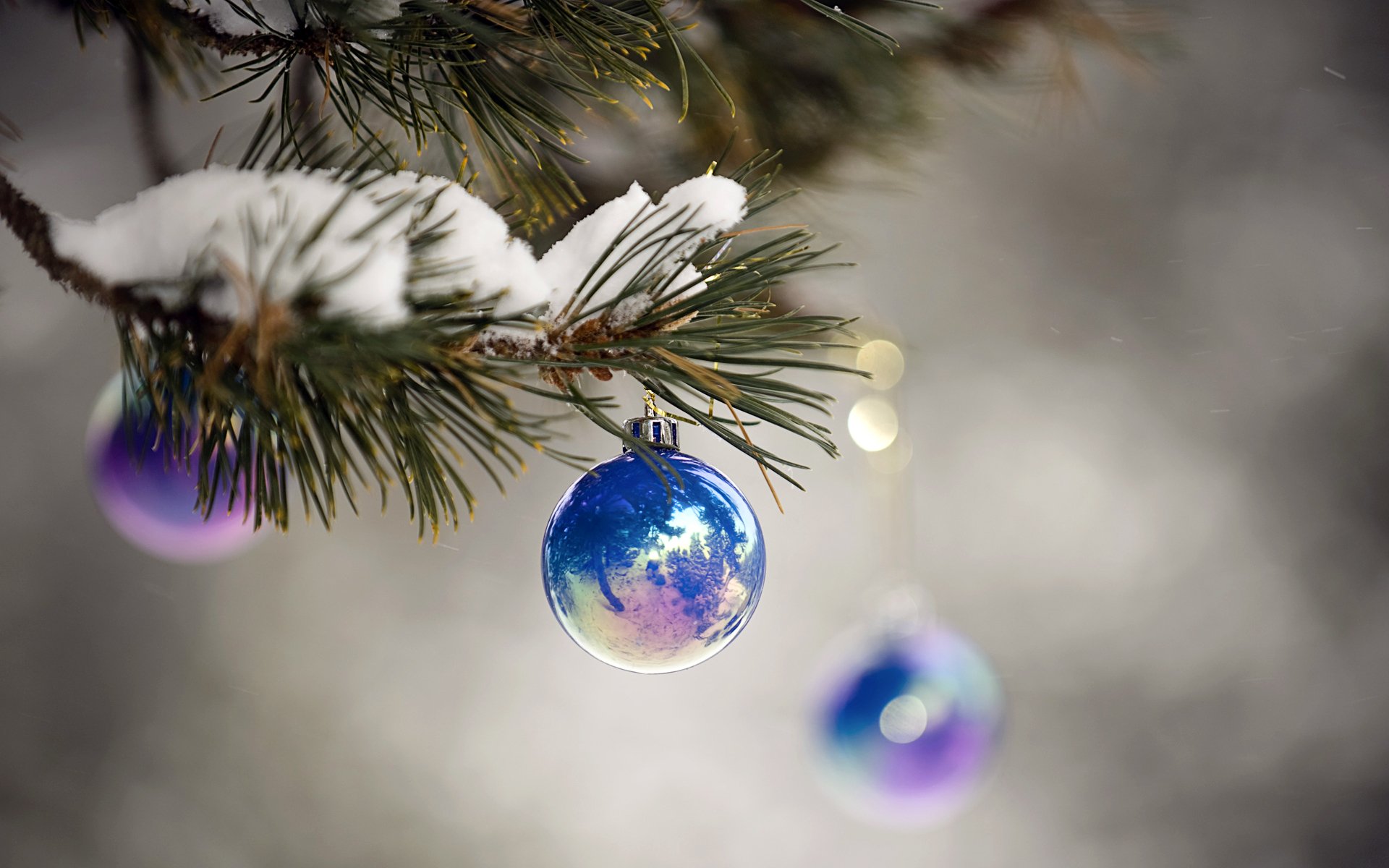 urlaub neujahr weihnachtskugeln blau glänzend makro zweig schnee