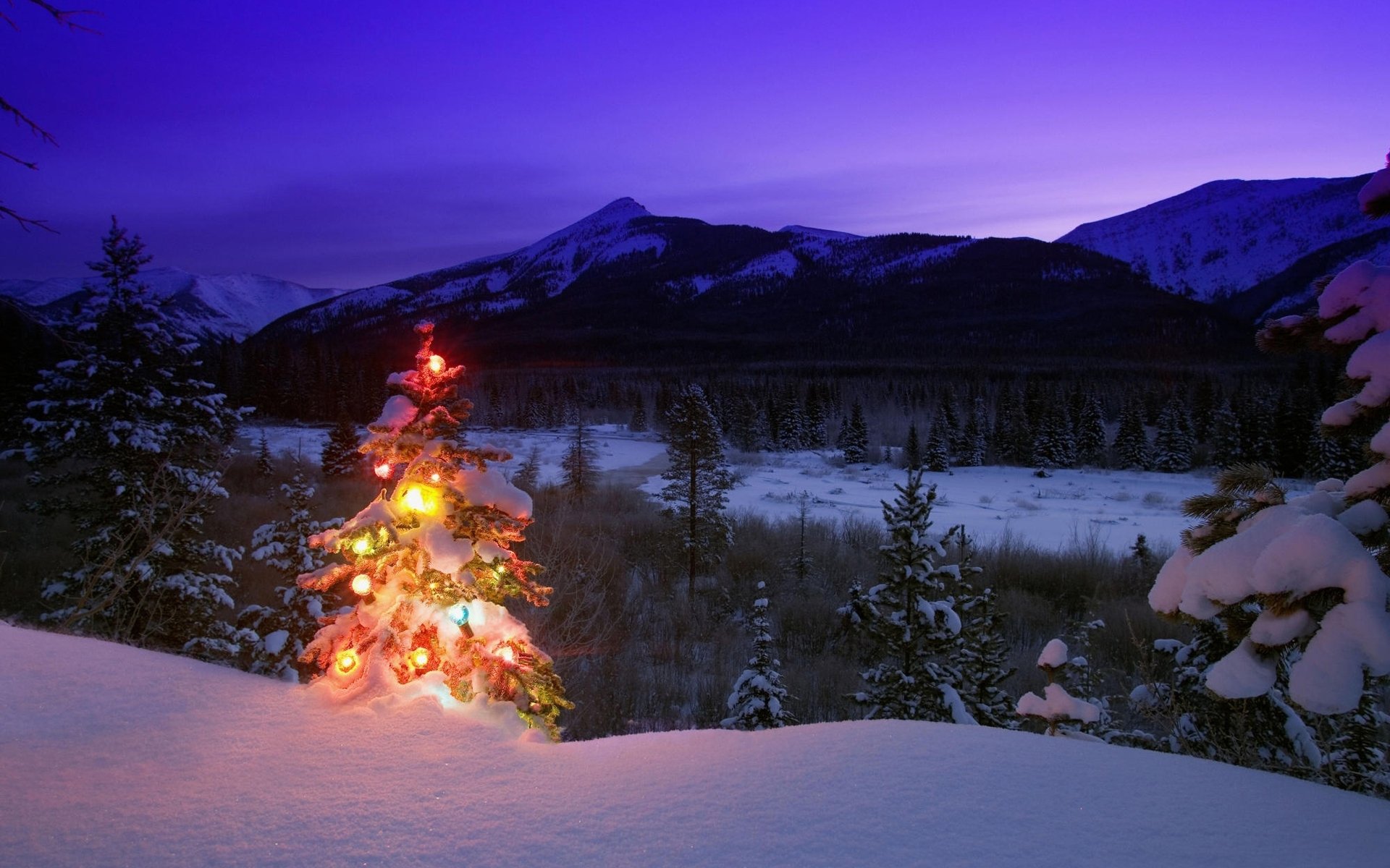 capodanno inverno natura albero di natale giocattoli montagne alberi neve sera crepuscolo