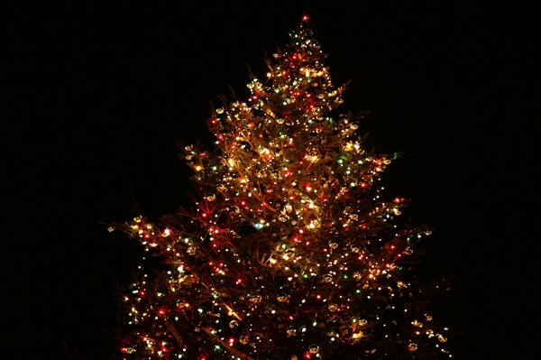 Arbre de Noël dans la tenue du nouvel an