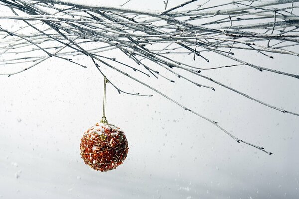 Christmas ball on a bare branch