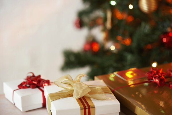 Cadeaux vous attendent sous l arbre de Noël