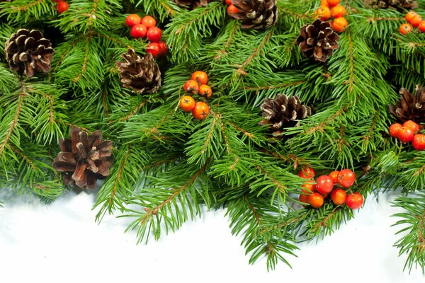 Fir branches with cones and berries