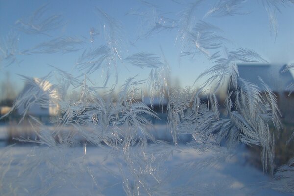 Frostiger Morgen. Eisige Muster auf Glas